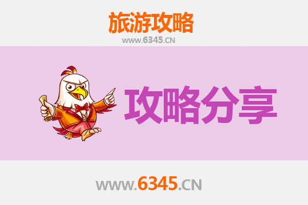 延边图们至湄洲岛旅游攻略：跟团还是自由行深度解析
